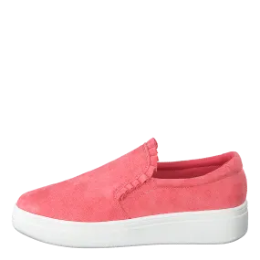 73-42717 Coral