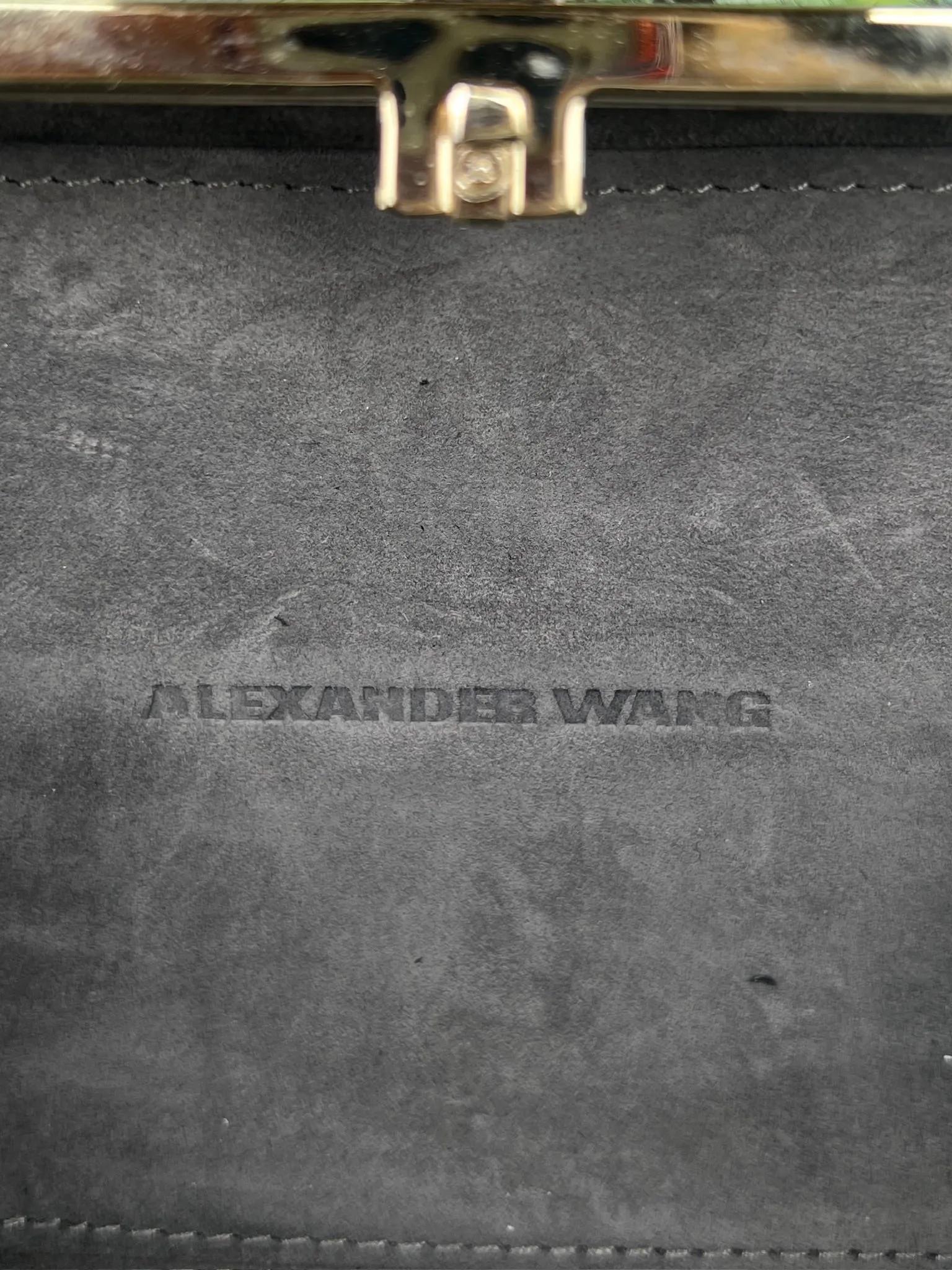 Alexander wang clutch