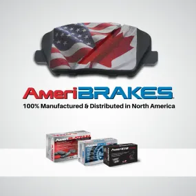 AmeriPLATINUM Ceramic Disc Brake Pads Parking Shoes For Ford Explorer 2002-2005