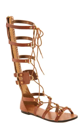 Athena Tall Gladiator Sandal