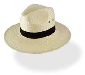 Wide-Brim Hats