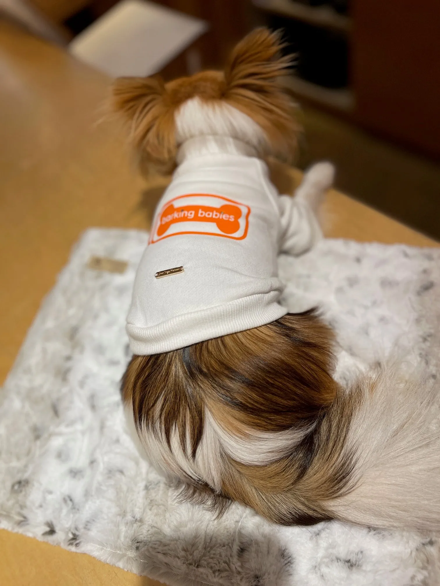 barking babies crewneck