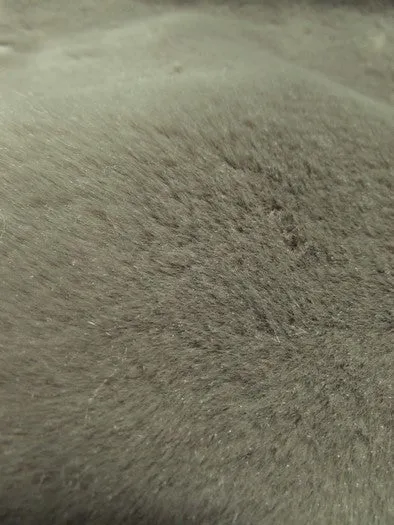 Blonde Half Shag Faux Fur Fabric (Beaver)(Knit Backing) / Sold By The Yard