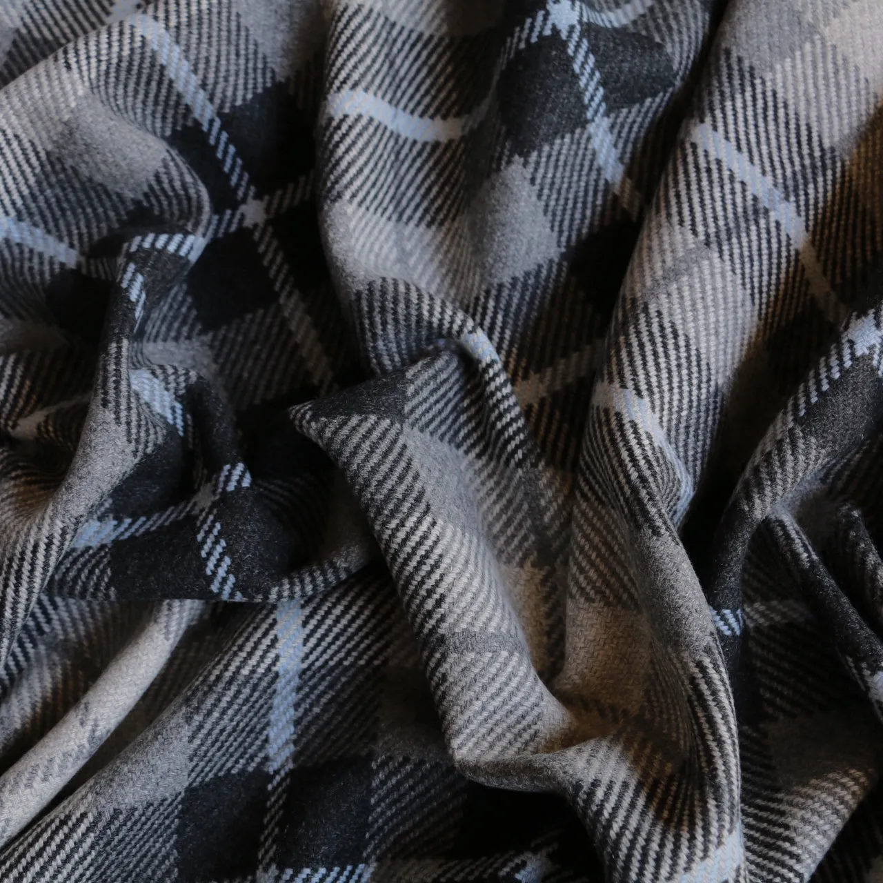 Blue Border Check