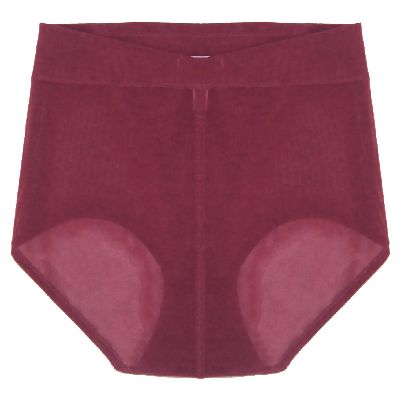 Callie High Waisted Briefs