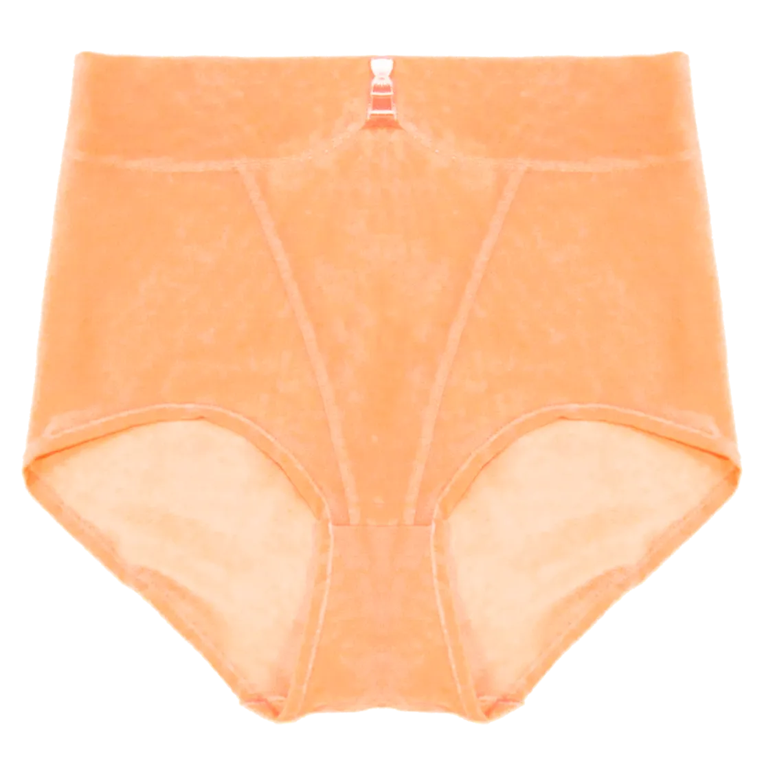 Callie High Waisted Briefs