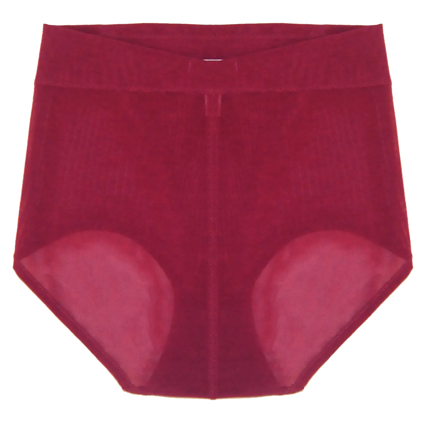 Callie High Waisted Briefs