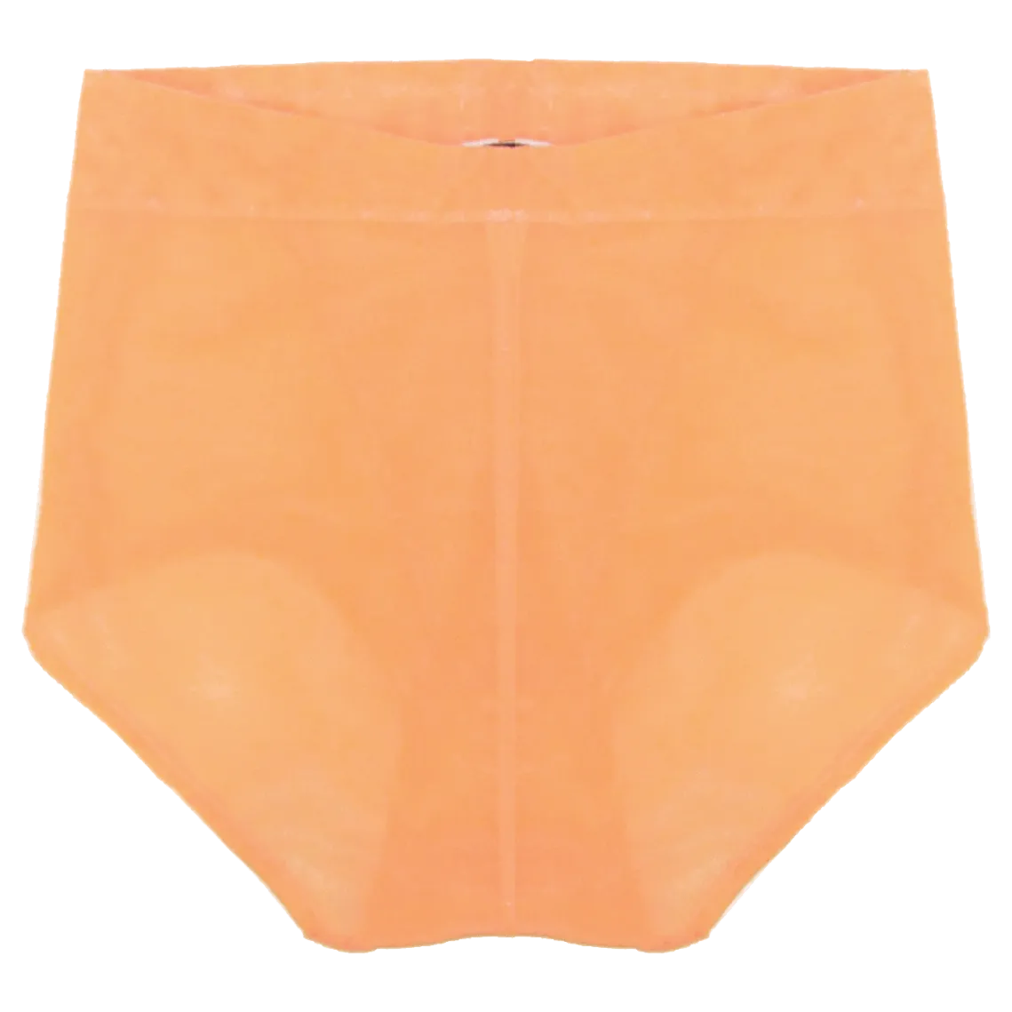 Callie High Waisted Briefs