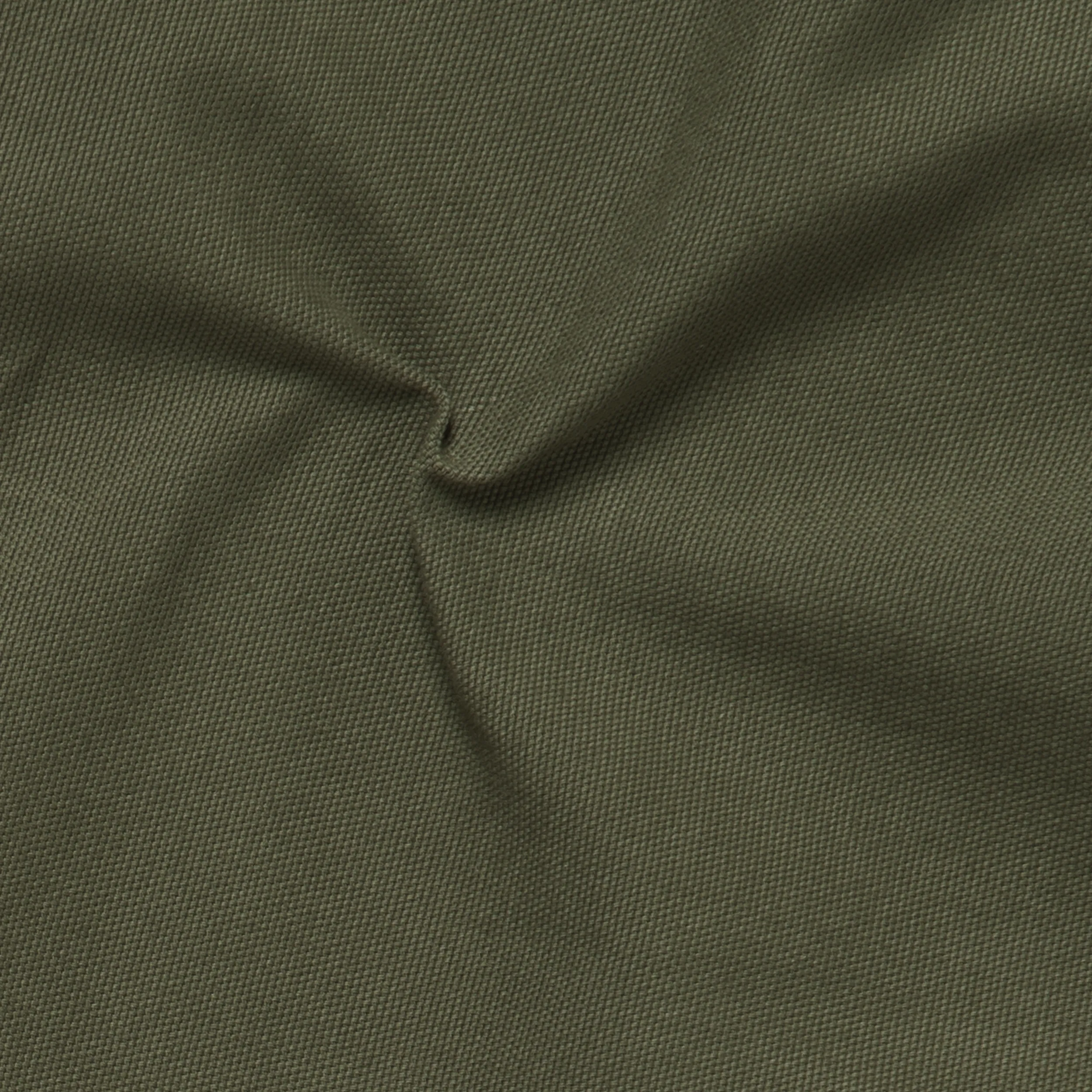 Canvas Short