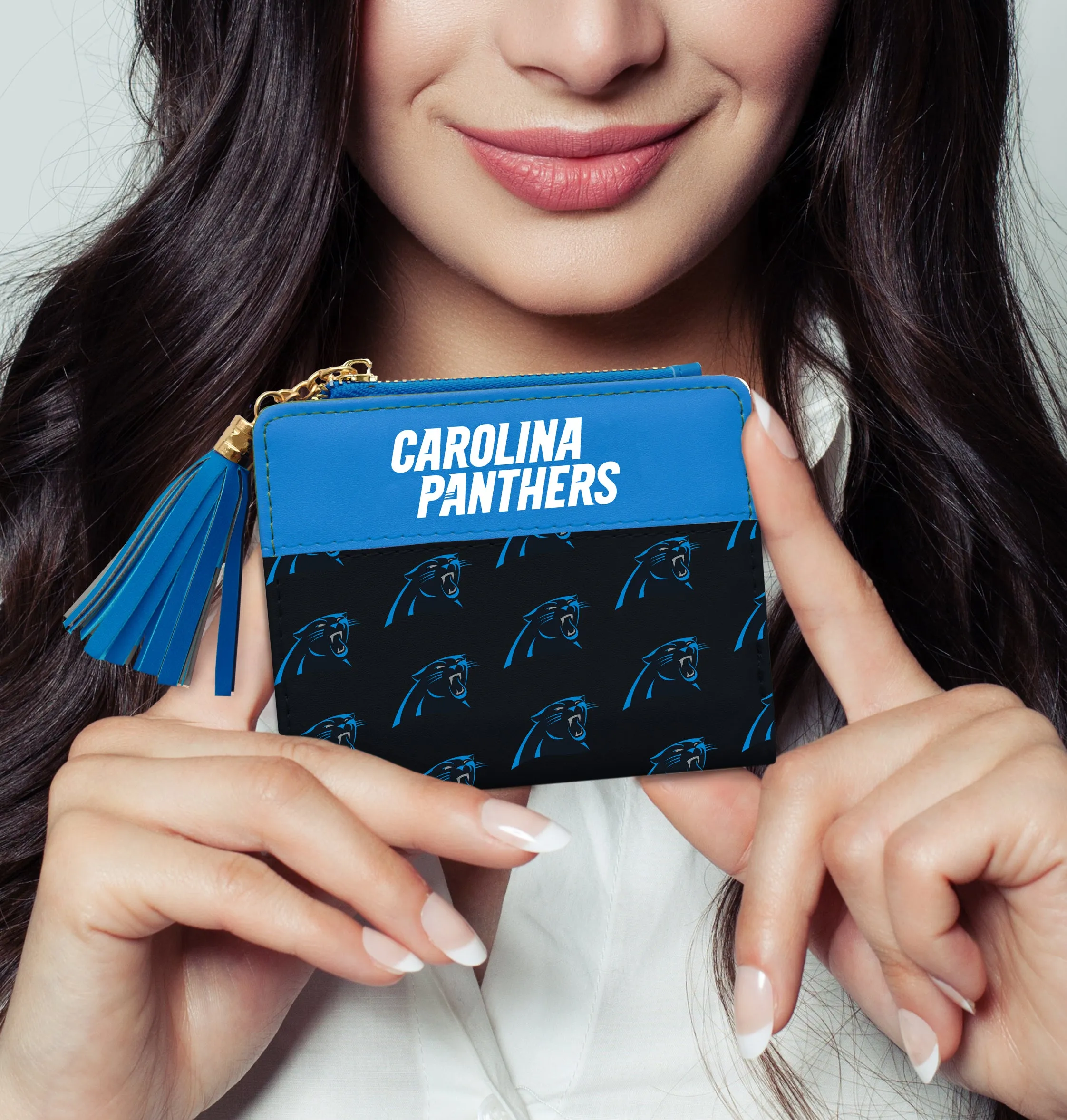 Carolina Panthers Mini Organizer