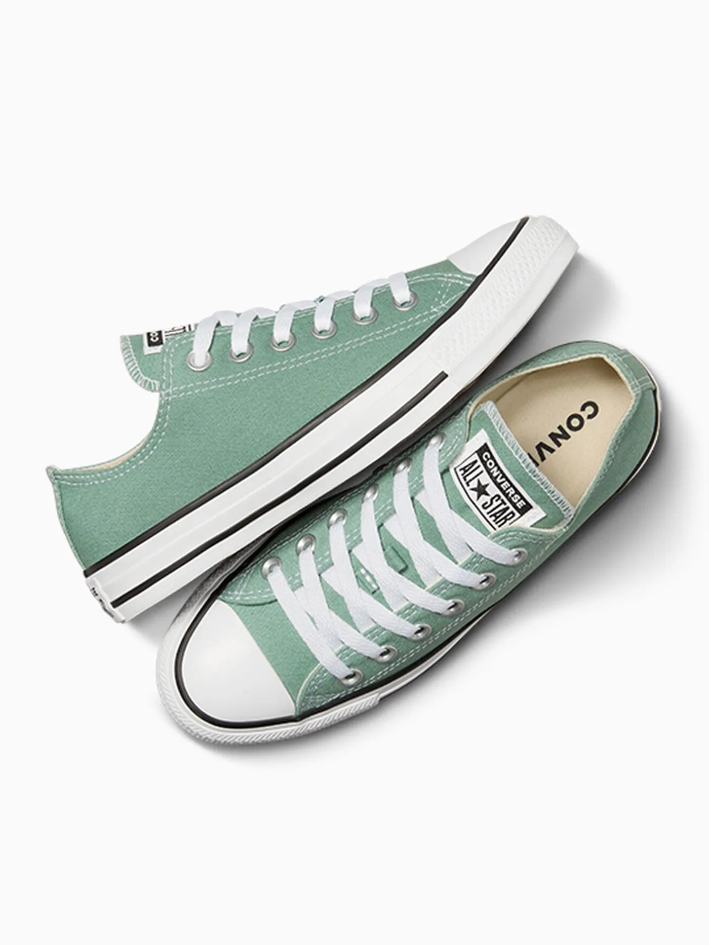 Chuck Taylor All Star Herby Shoes