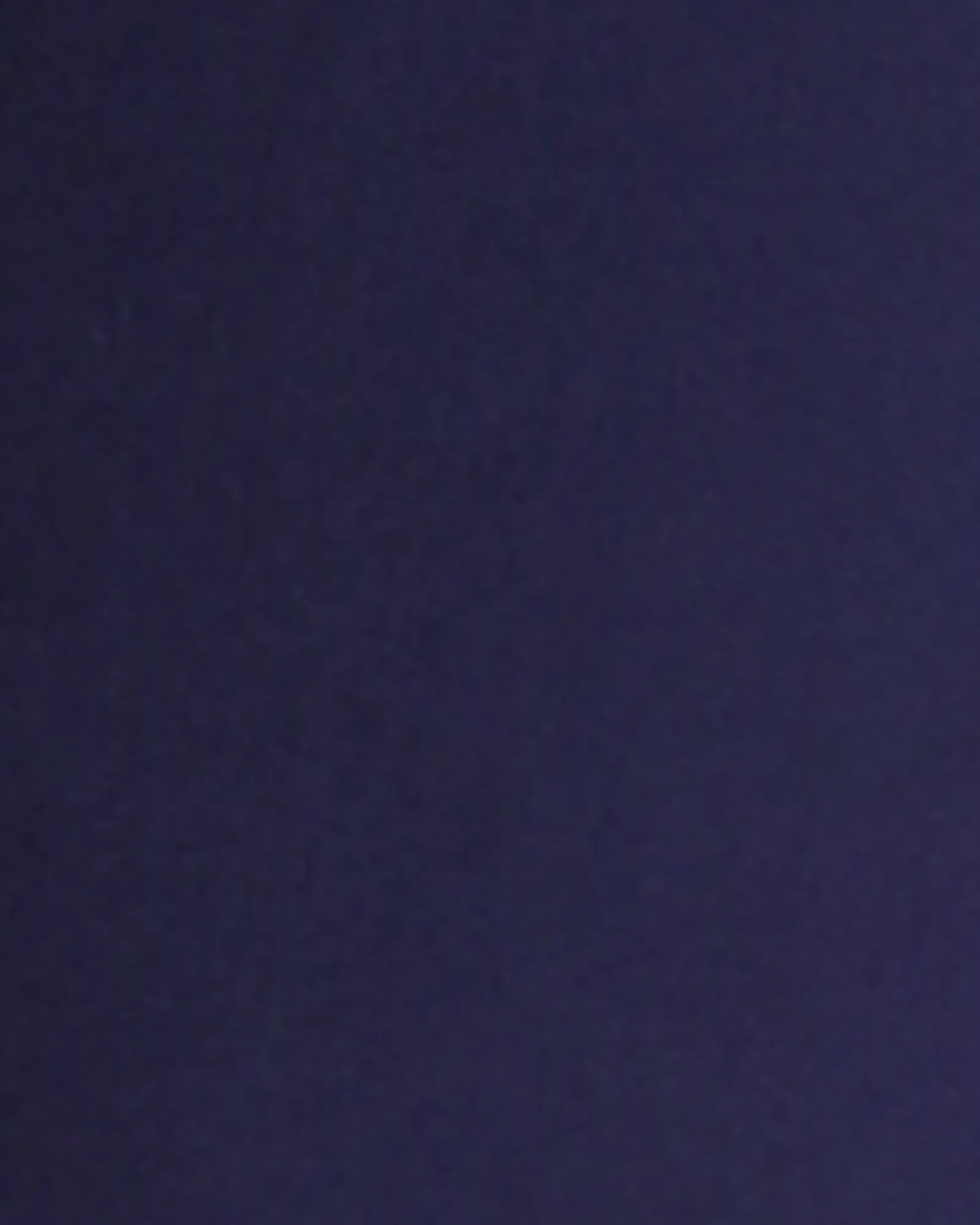 Coventry Petite Straight Leg Work Trouser | Navy