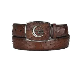 Cuadra BC307 MN Moroni Chestnut Ostrich Exotic Strip Belt