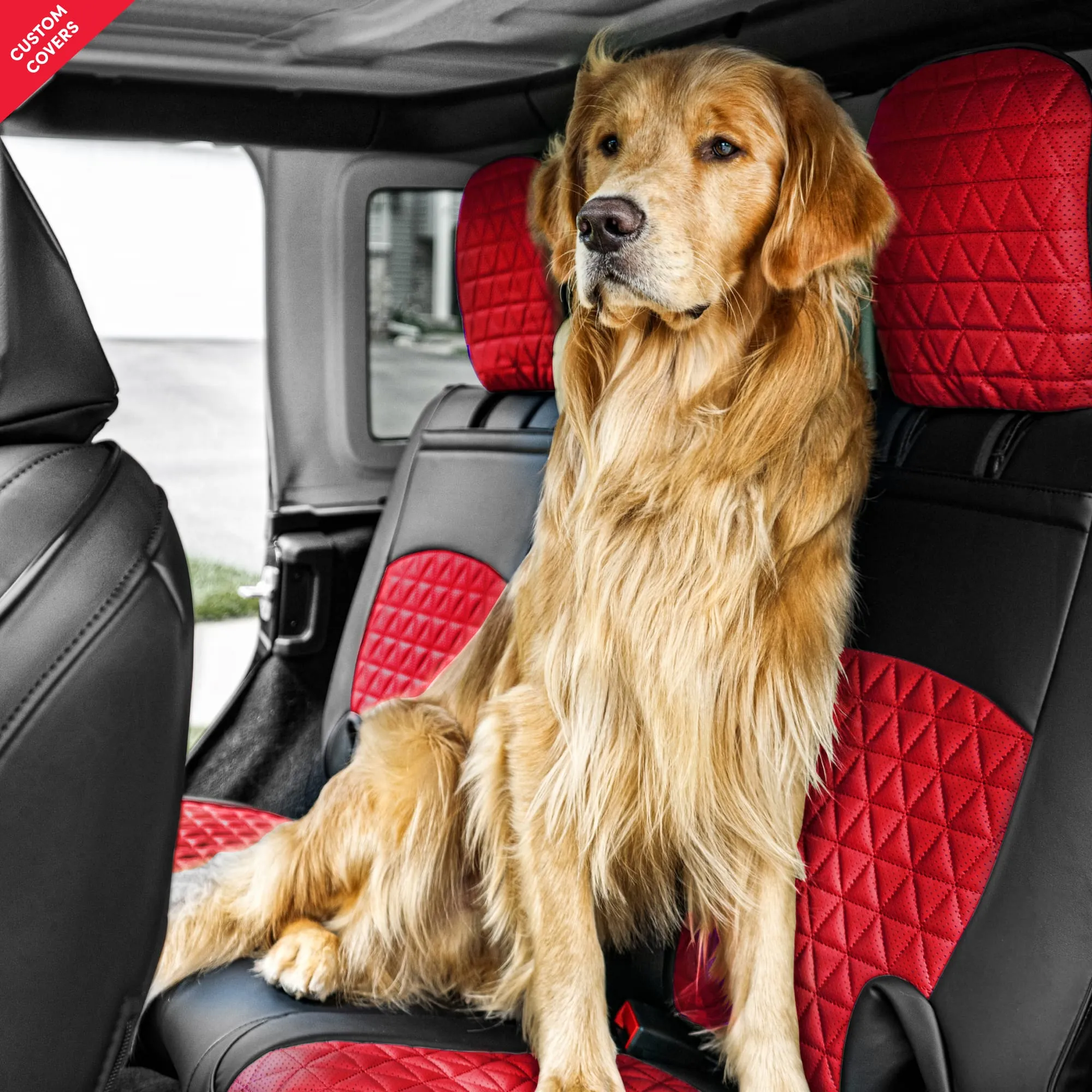 Custom Luxury Seat Covers