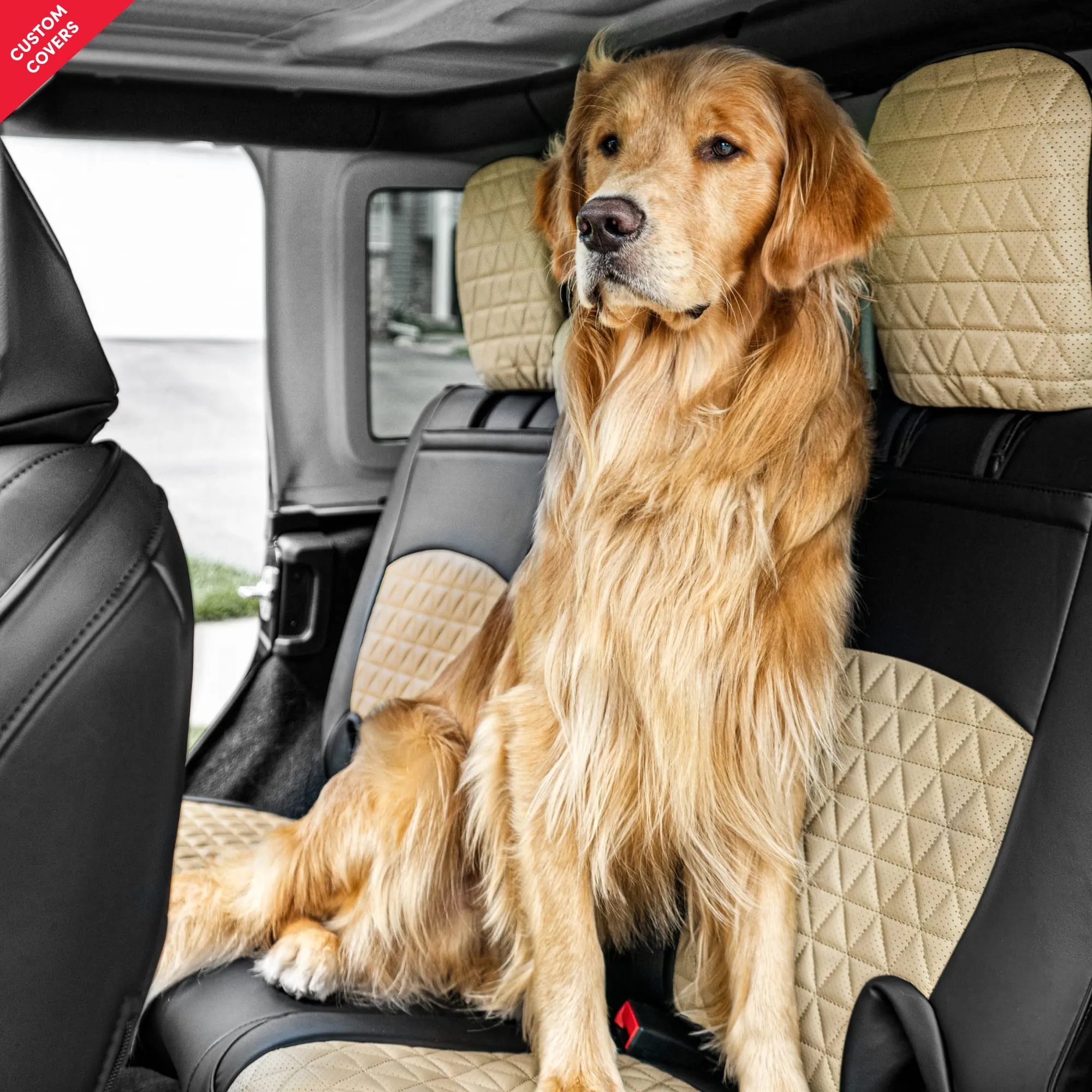 Custom Luxury Seat Covers