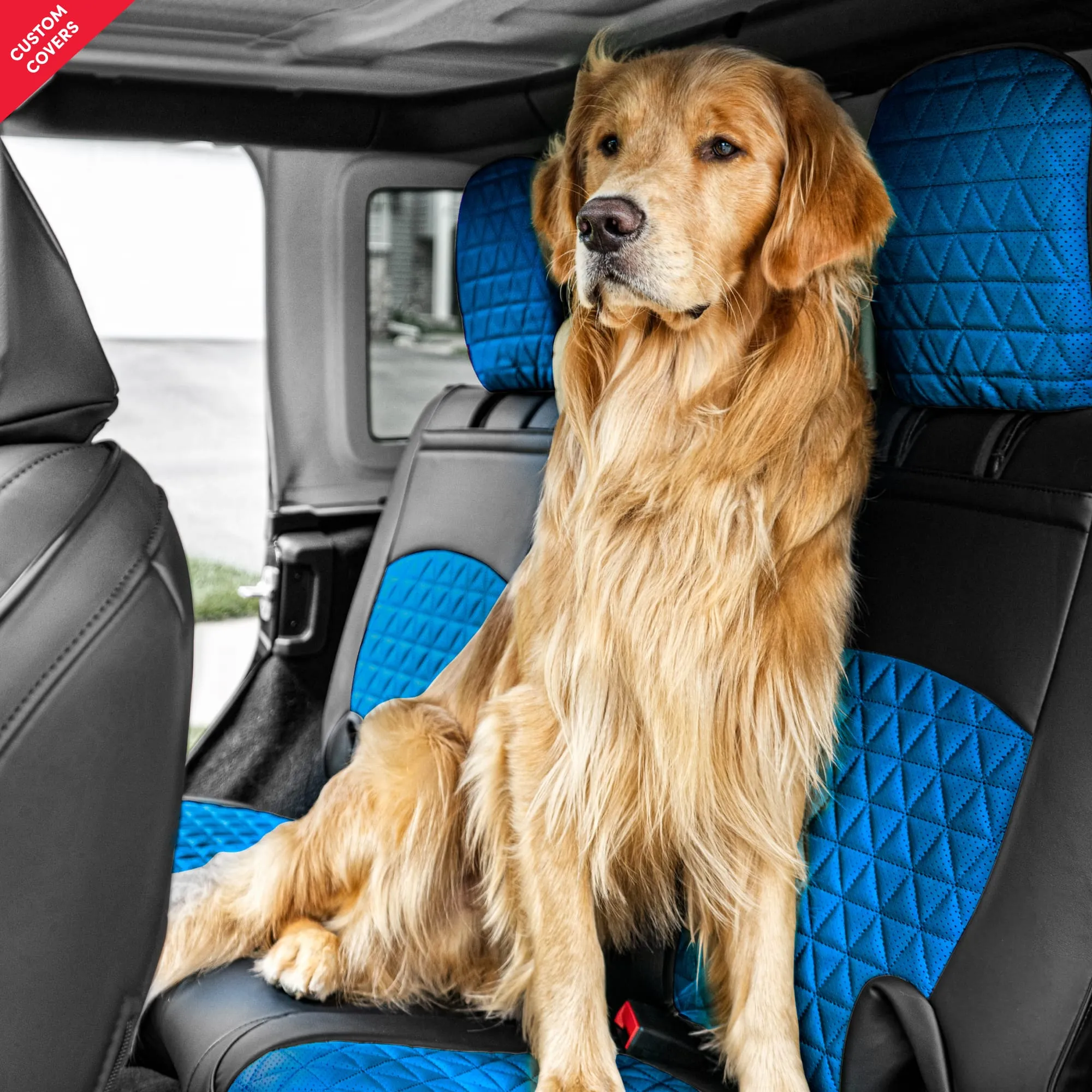 Custom Luxury Seat Covers
