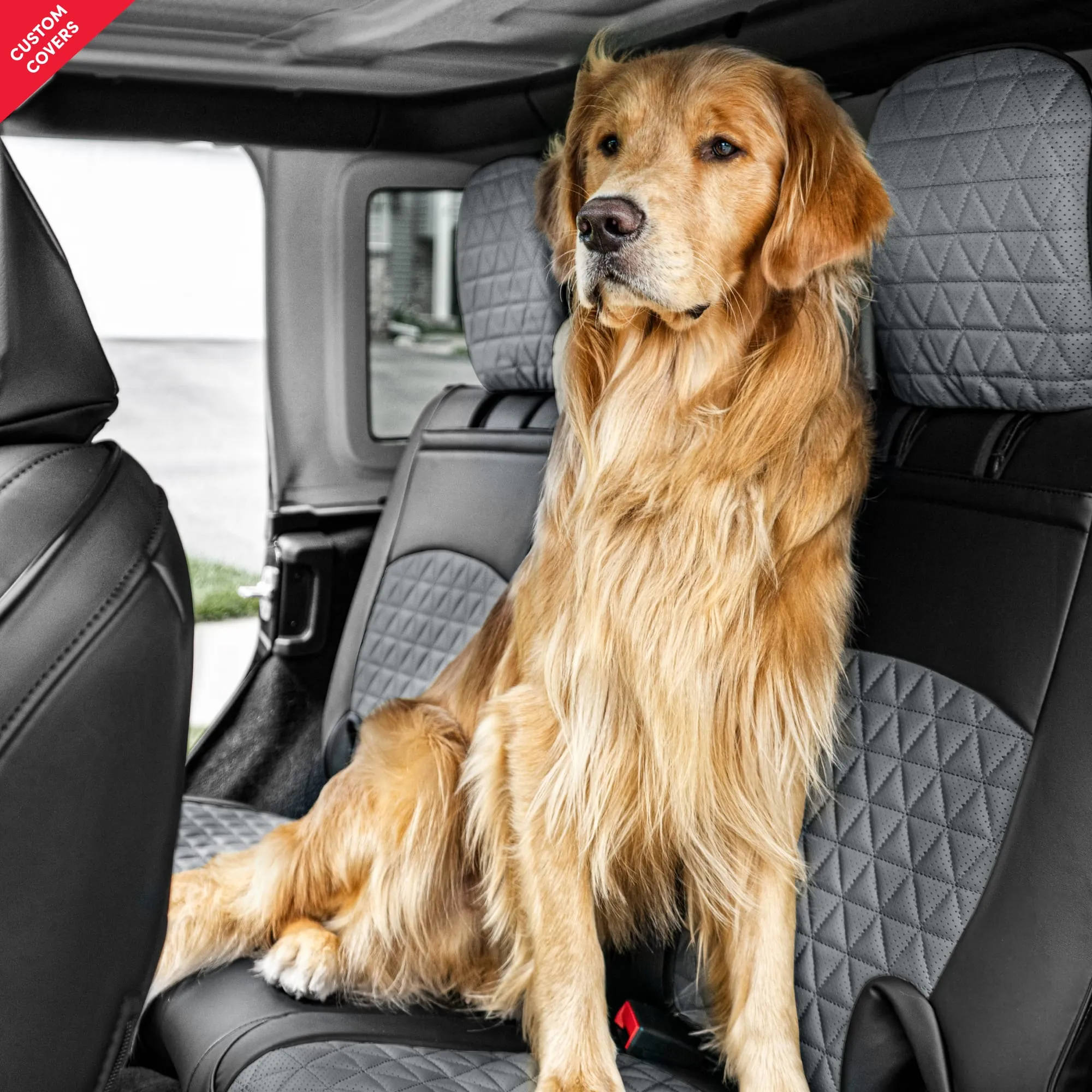 Custom Luxury Seat Covers