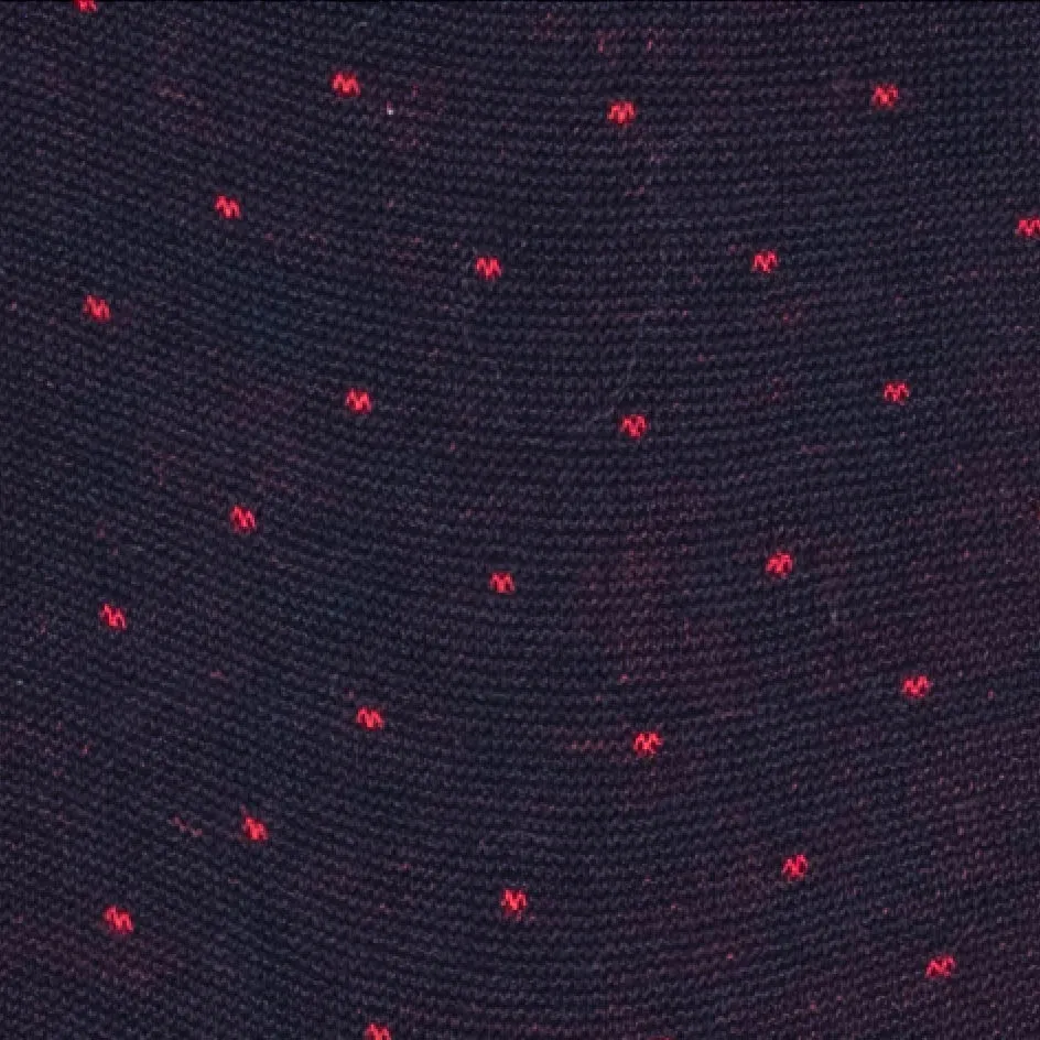 Dark Blue & Red Polka Dots Cotton Socks