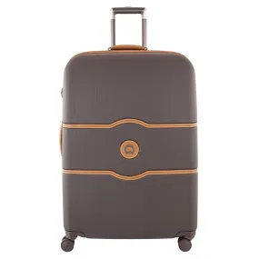 Checked Luggage