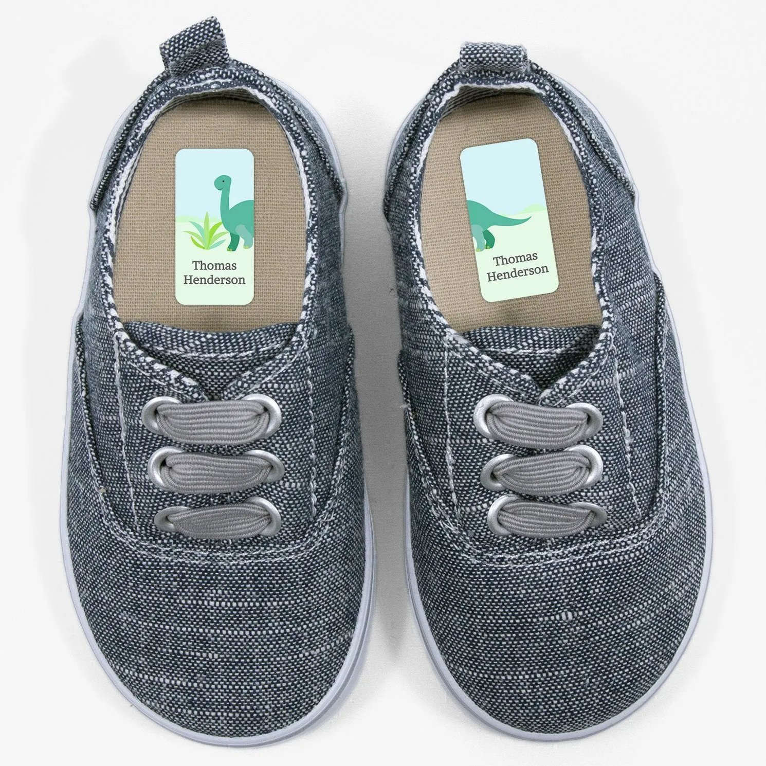 Dinosaurs Shoe Labels