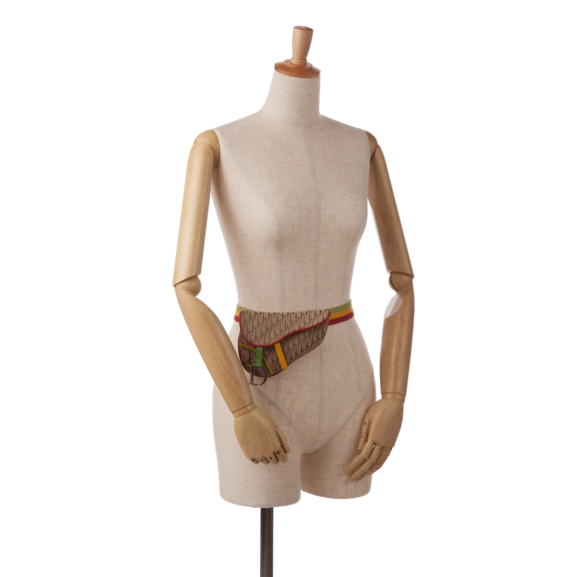 Dior Saddle Rasta Belt Bag Brown Oblique Canvas