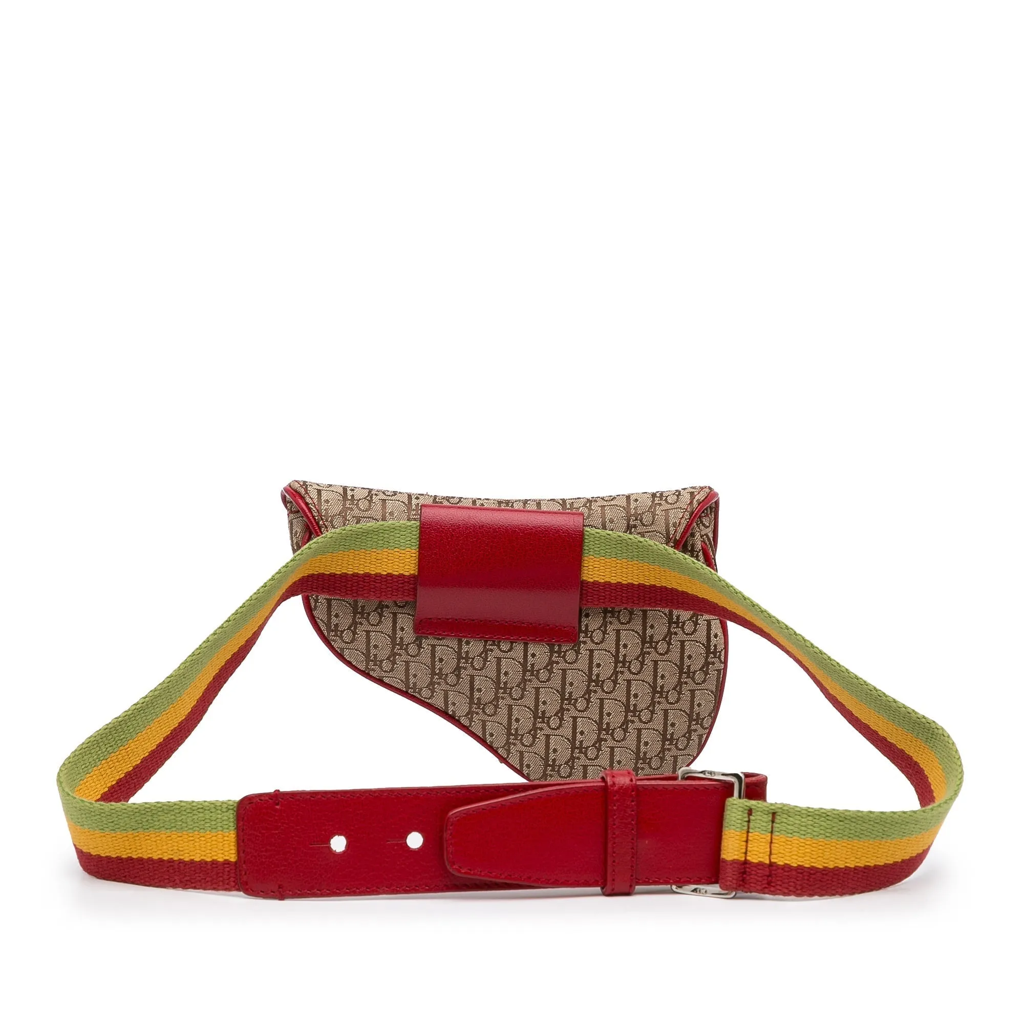 Dior Saddle Rasta Belt Bag Brown Oblique Canvas