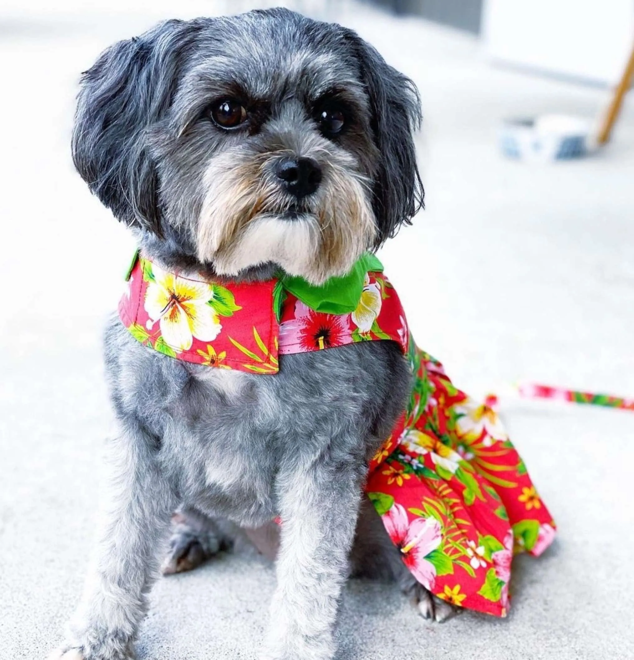 Dress | Red Hawaiian Hibiscus