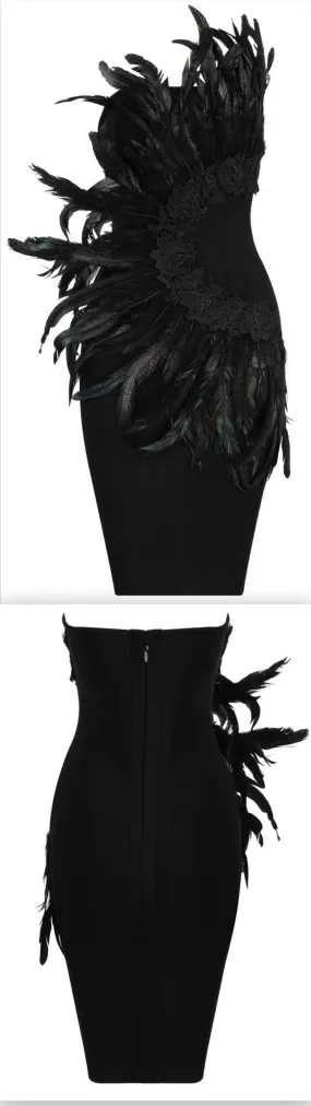 Feather-Embellished Strapless Embroidered Mini Dress