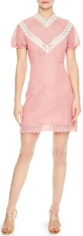Sheath Gowns
