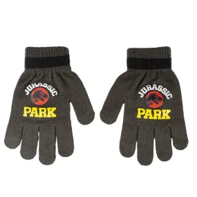 Gloves Jurassic Park Dark grey