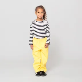 HIDDEN DRAGON | goldfinch yellow