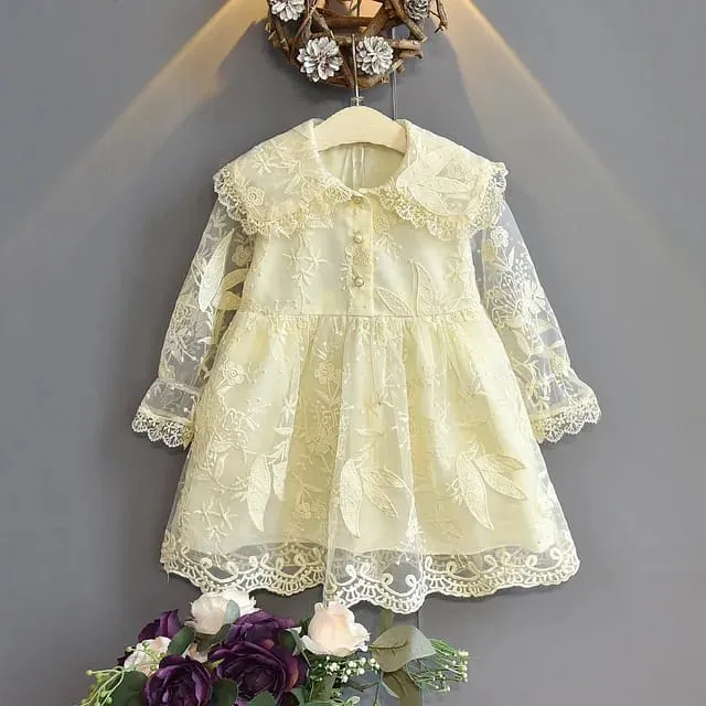 High quality's, SUMMER clothing party dress fashion baby girls kids fashion lace sleeve dresses long X798579