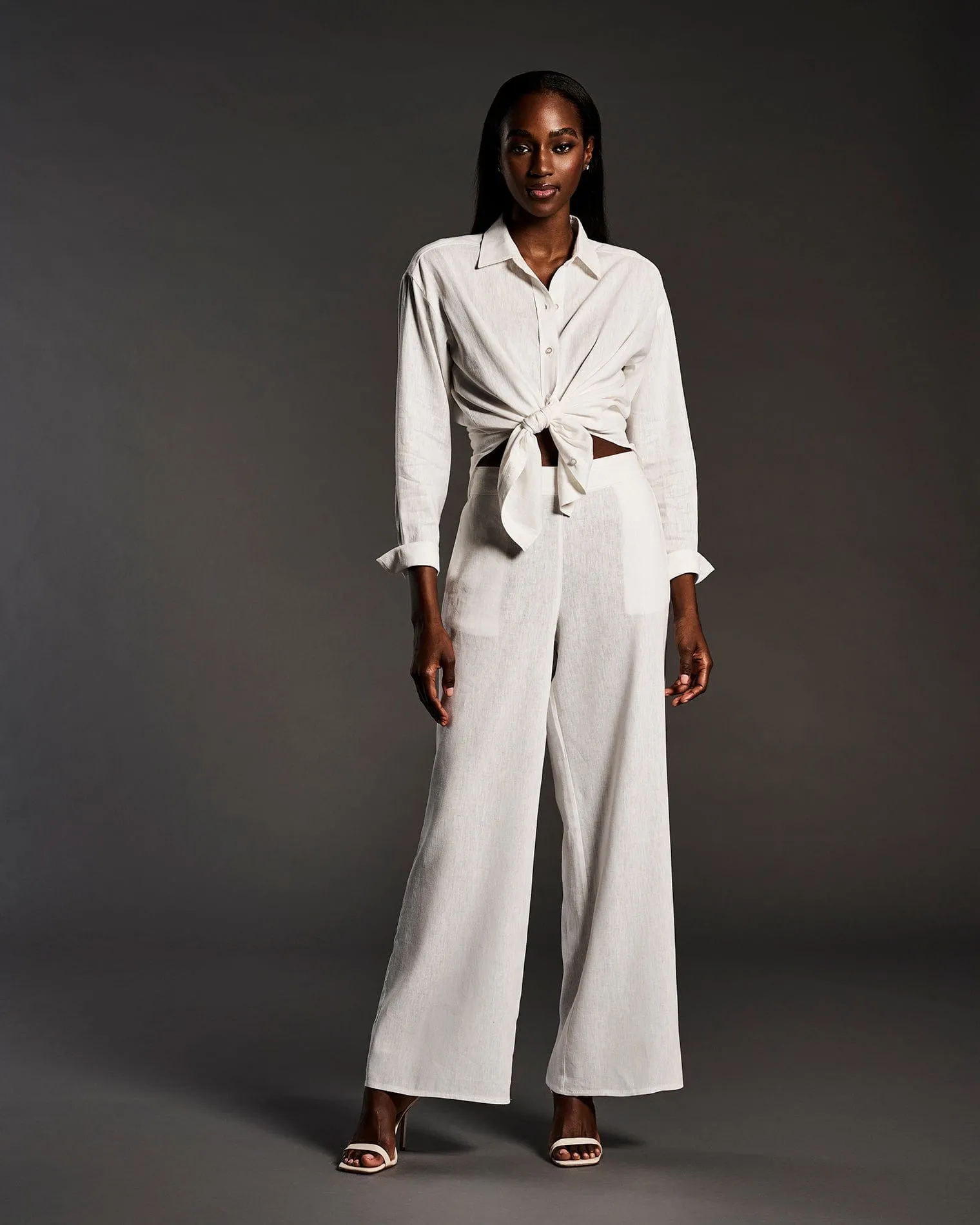 Linen Blend Wide Leg Flat Front Pant
