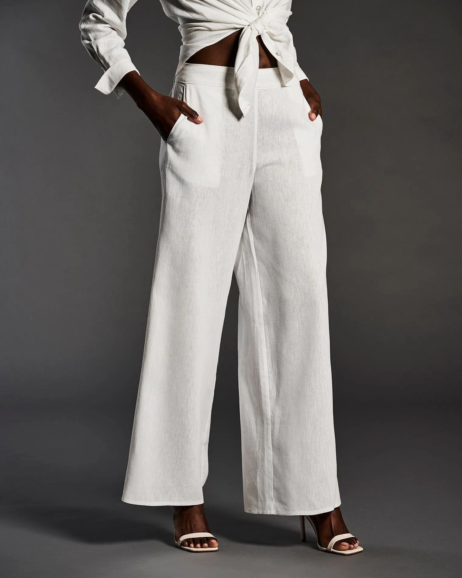 Linen Blend Wide Leg Flat Front Pant