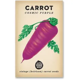 Little Veggie Patch Co CARROT 'COSMIC PURPLE' HEIRLOOM SEEDS