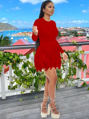 Long Sleeve Tassel Mini Dresses