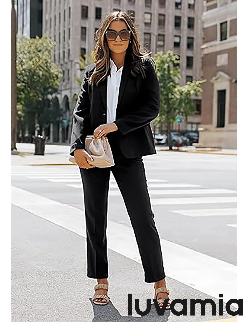 LUVAMIA Women's Blazer Set Business Casual Full Fit Blazer Jackets and Straight Pant Suits with Pockets