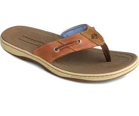Men's Baitfish Thong  Sonora Flip-Flops