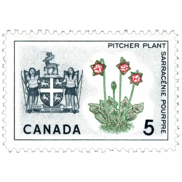 Newfoundland Penny and Stamp