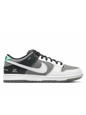 Nike Dunk Low VX1000 Camcorder [USED]