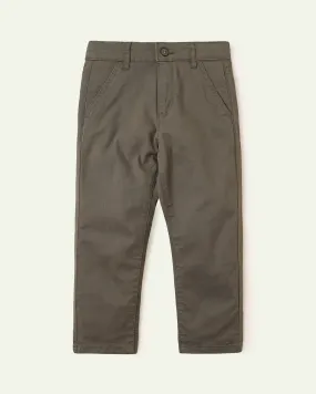 Olive Slim Fit Chinos