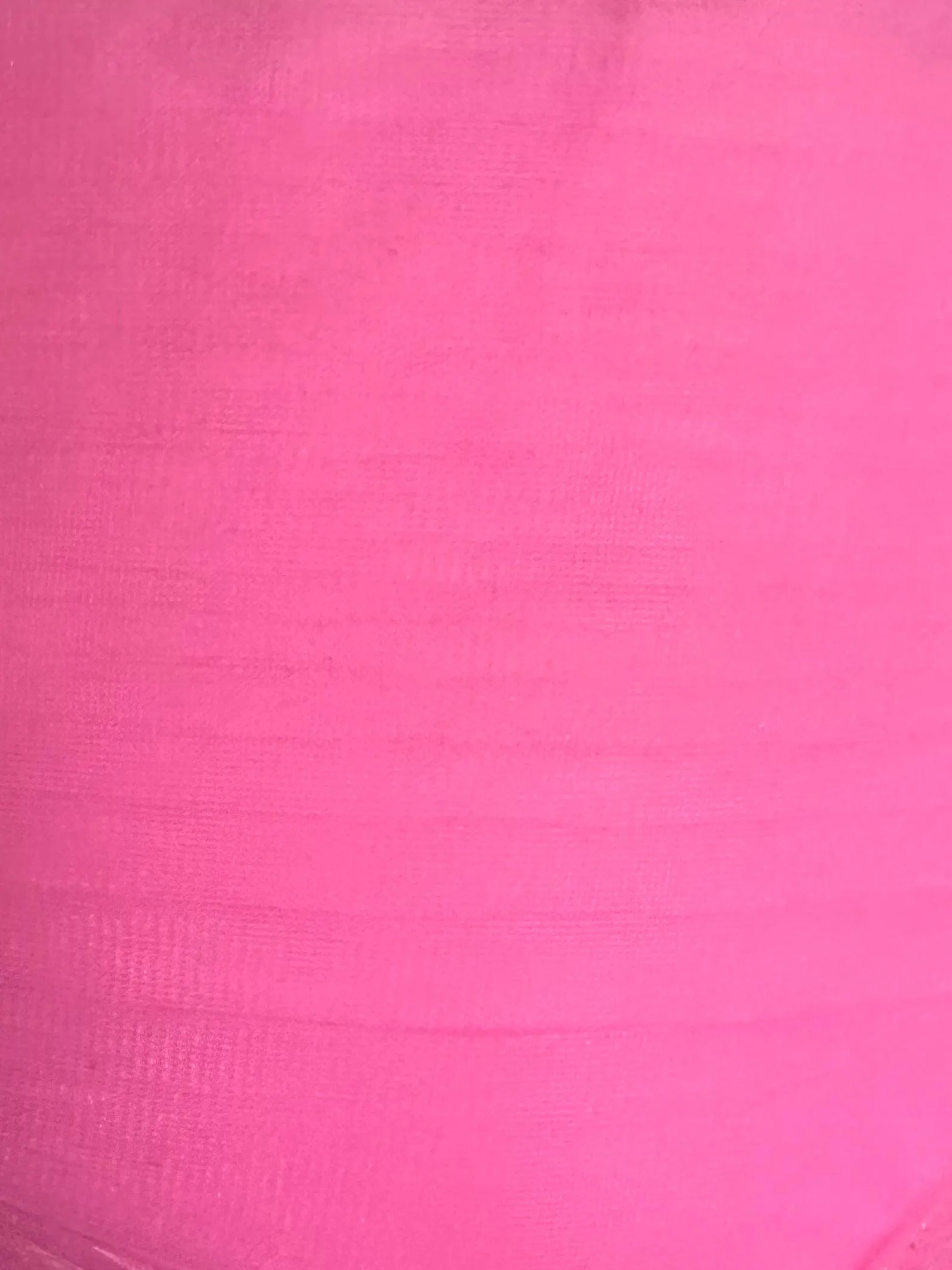 Organdy Stiff Petticoat