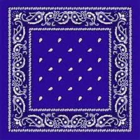 Paisley Bandanas