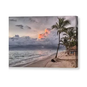 Palm Trees and Clouds - Canvas Print