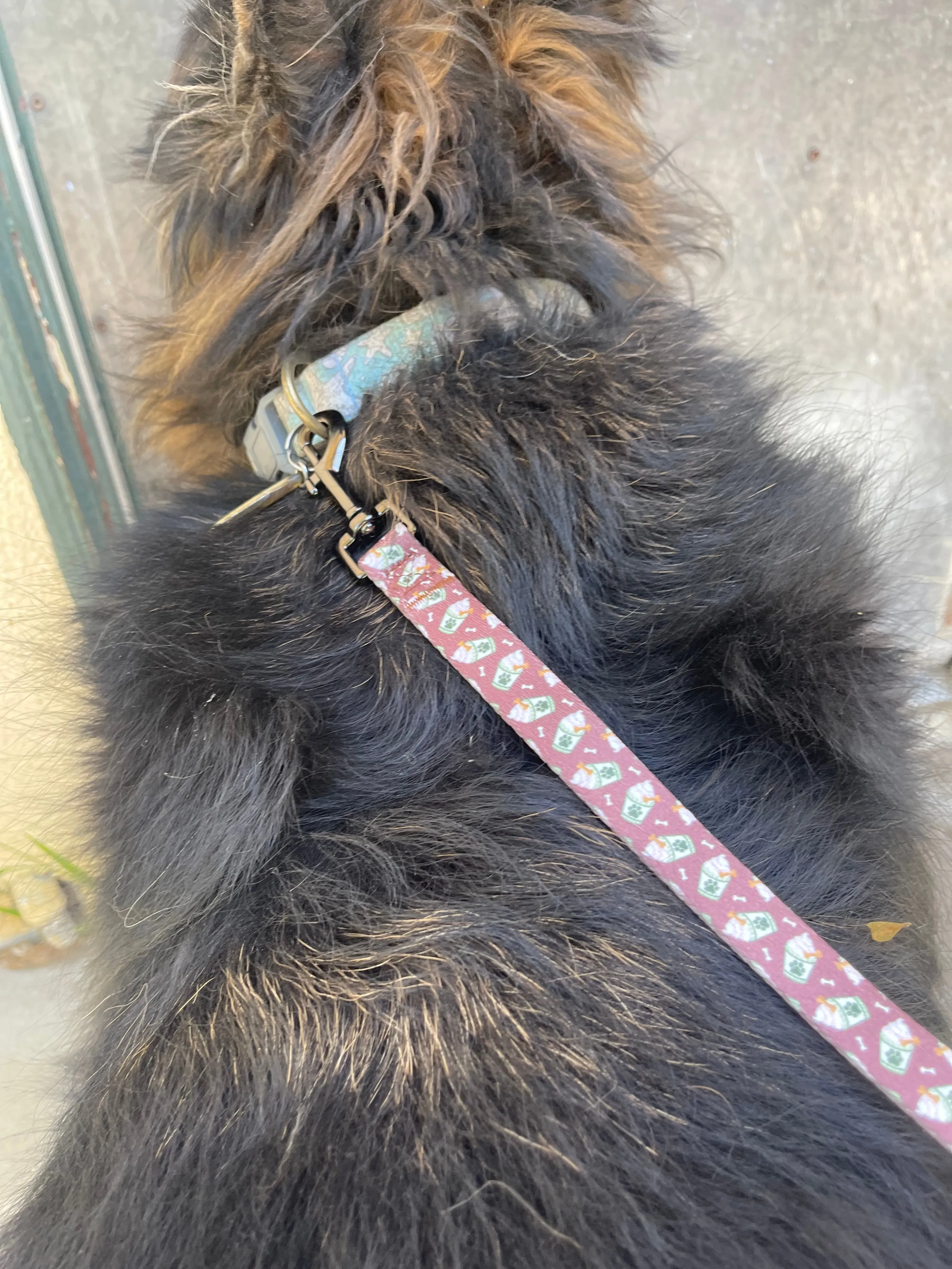 Puppachino - Recycled Eco-Friendly 5 ft Leash
