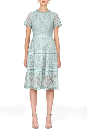 Lace Dresses
