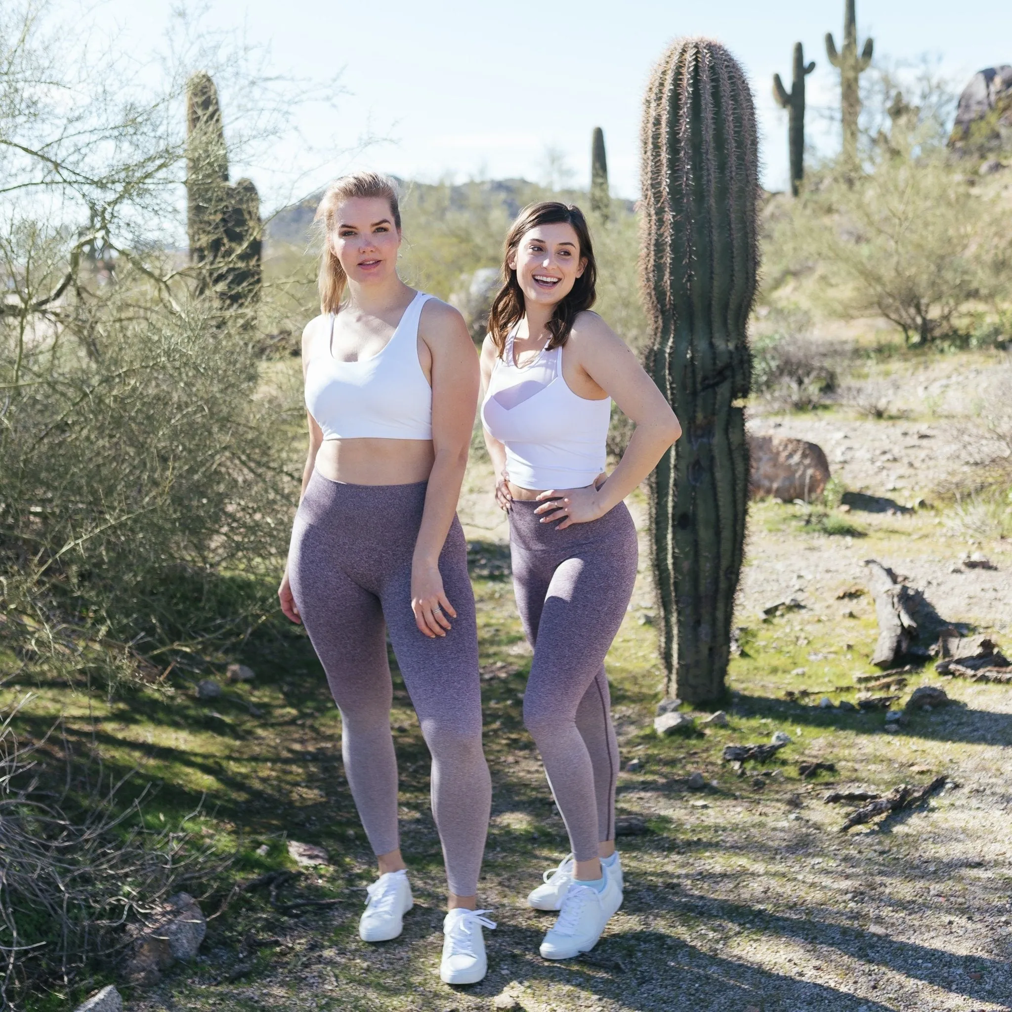 Seamless Strength Leggings - Eggplant Ombre