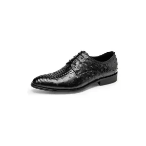 Serpatura Elegance Lace Brogues