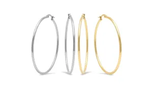 Set of 2 Stainless Steel and Gold Hoop Earrings