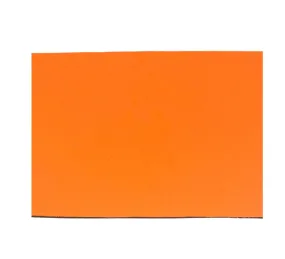 Solid Neon Orange